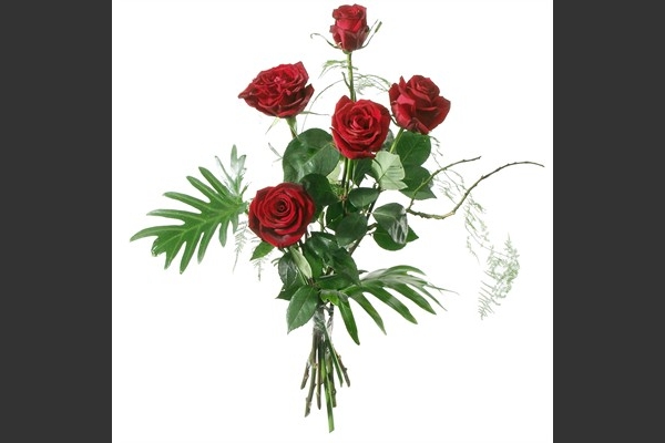 016 5 rote Rosen mit Grün CHF 45.-